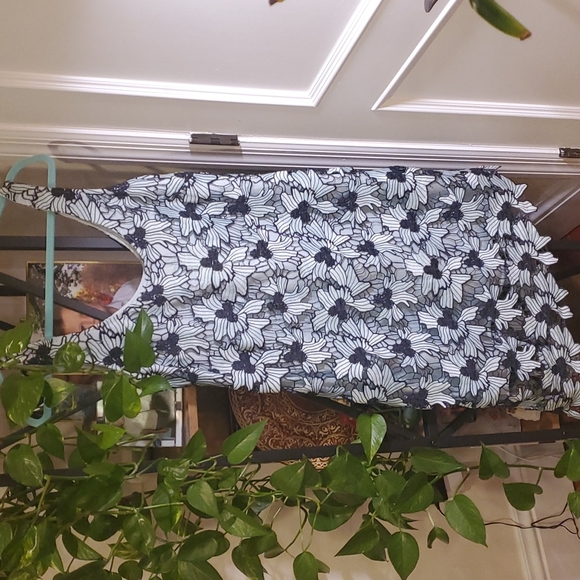 BB Dakoda sleeveless dress - Picture 2 of 5